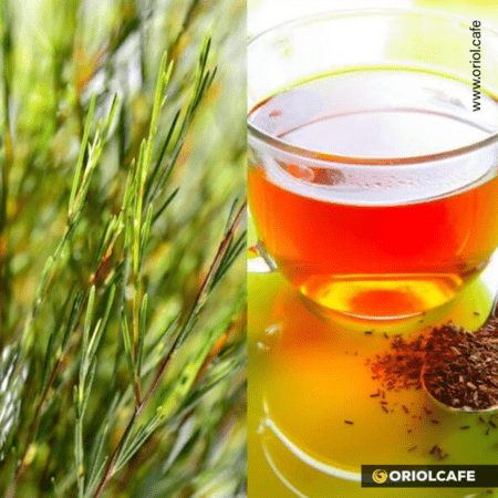 Rooibos-tea
